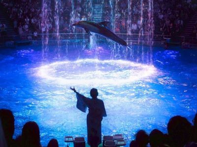 2025_RO_syasinnbu3.jpg  (9693)