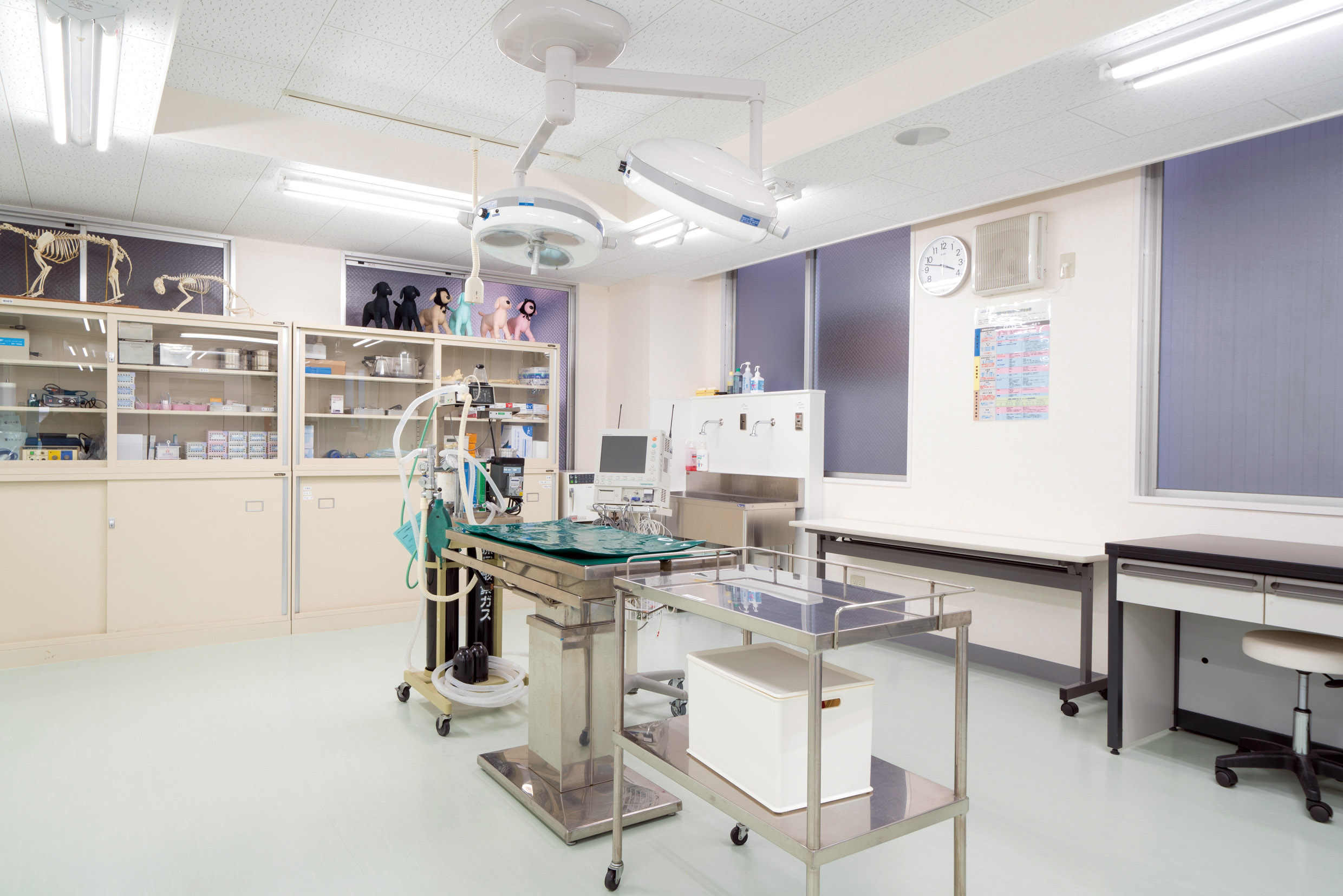 wan_room.jpg  (21205)